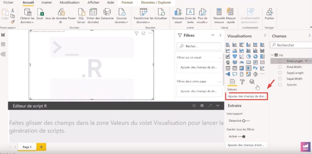 Visuel de script R
