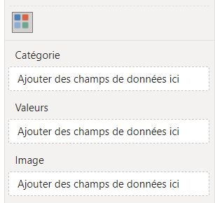 Les champs de données du visuel Chiclet Slicer
